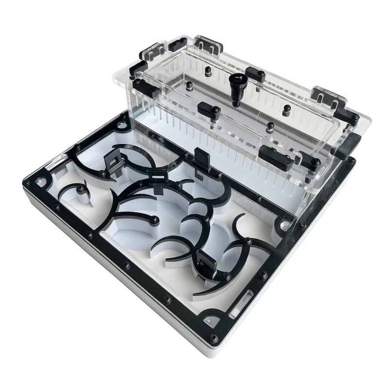 Formicarium Dragon — close-up of the nest chambers — ANTonTOP