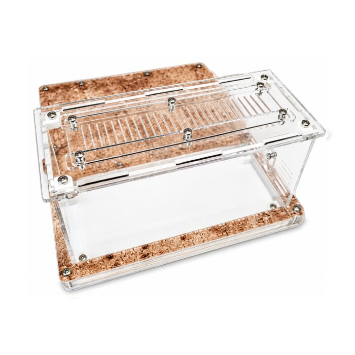 Formicarium Comfort — ant formicarium with nest and foraging arena at ANTonTOP
