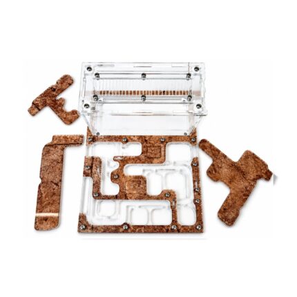 Formicarium Comfort — ant formicarium with nest and foraging arena at ANTonTOP