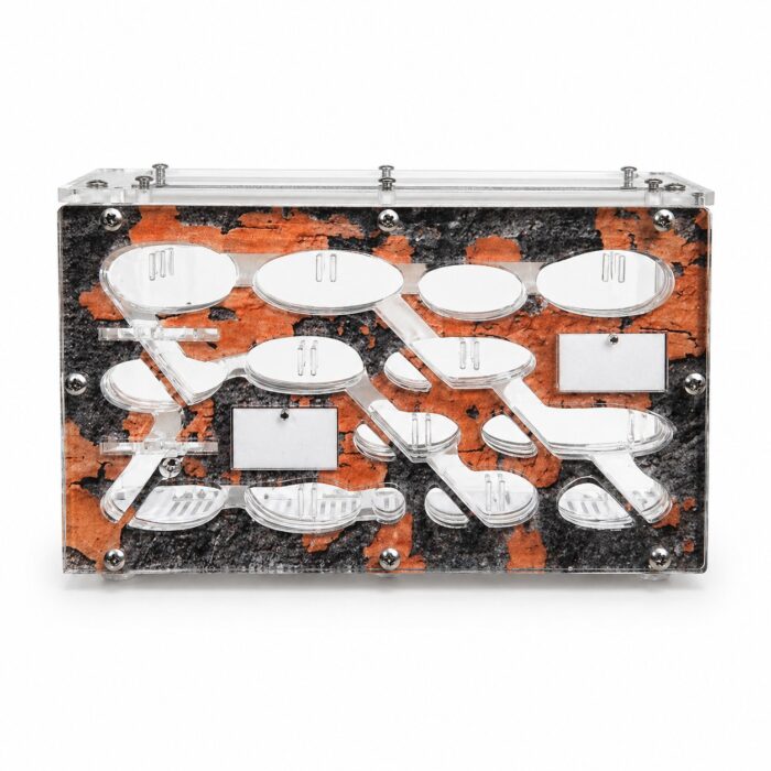 Formicarium Crystal — full setup for keeping an ant colony — ANTonTOP