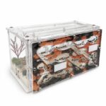 Formicarium Crystal — another view of the formicarium — ANTonTOP