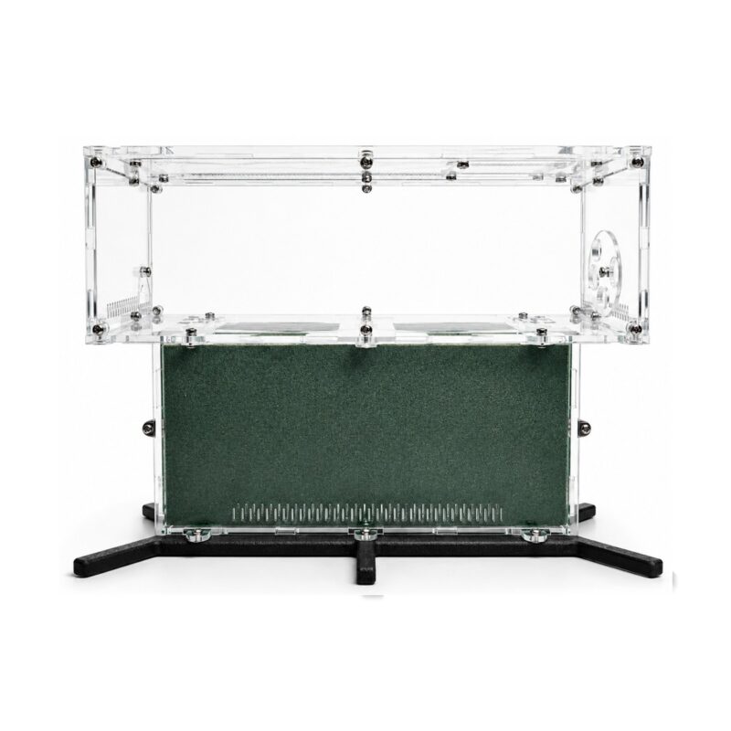 Formicarium TerraCore Pro — formikarium dla mrówek z gniazdem i areną w ANTonTOP