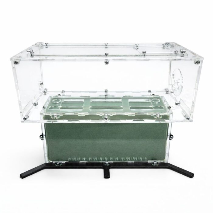 Formikarium TerraCore Pro XL — pełny zestaw do hodowli mrówek — ANTonTOP