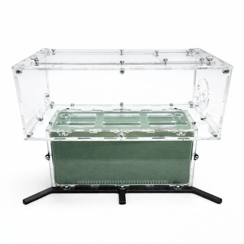 Formicarium TerraCore Pro XL — nest module with humidity chambers for an ant colony — ANTonTOP
