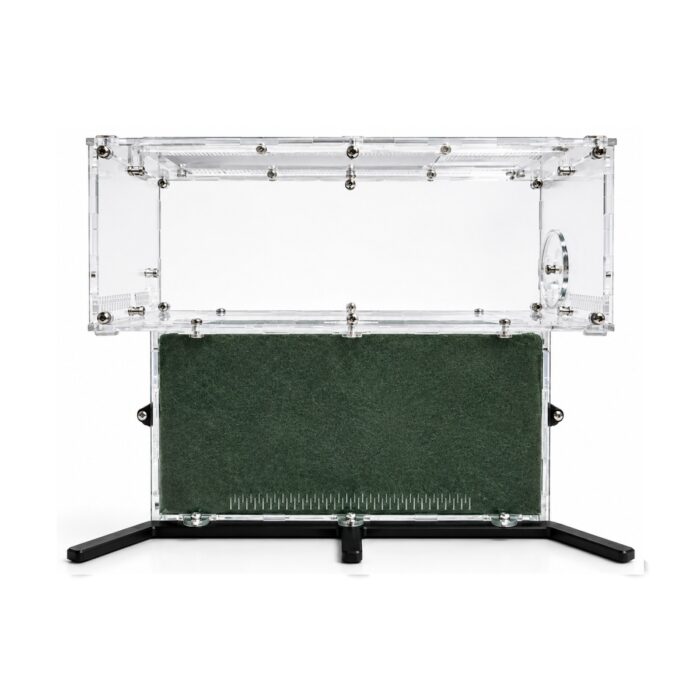 Formikarium TerraCore Pro XL — arena żerowa — ANTonTOP