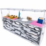 Formicarium Giant XL - obrazek 3