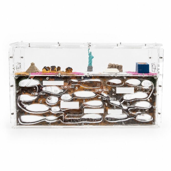 Formicarium Giant XL  obrazek 2