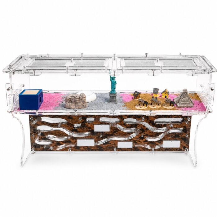 Formicarium Giant XL  obrazek 4