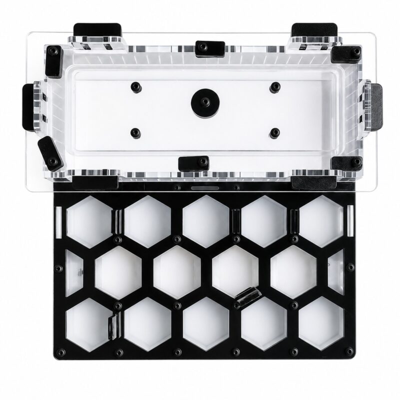 Formicarium Pearl L — large ant farm formicarium with nest and foraging arena, from ANTonTOP