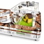 Formicarium Start arena with foraging ants and sand decorations