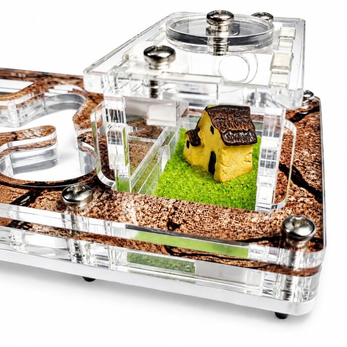 Formicarium Start arena with foraging ants and sand decorations