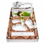 Formicarium Start laser-cut ventilation micro-perforations, detail