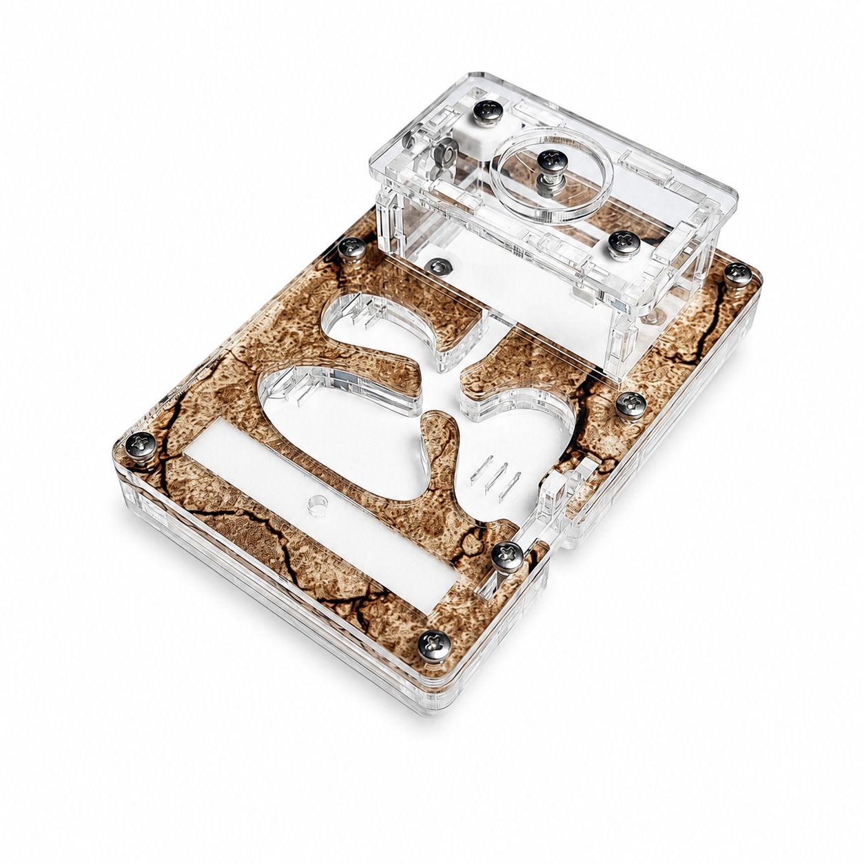 Formicarium Start beginner ant nest with outworld