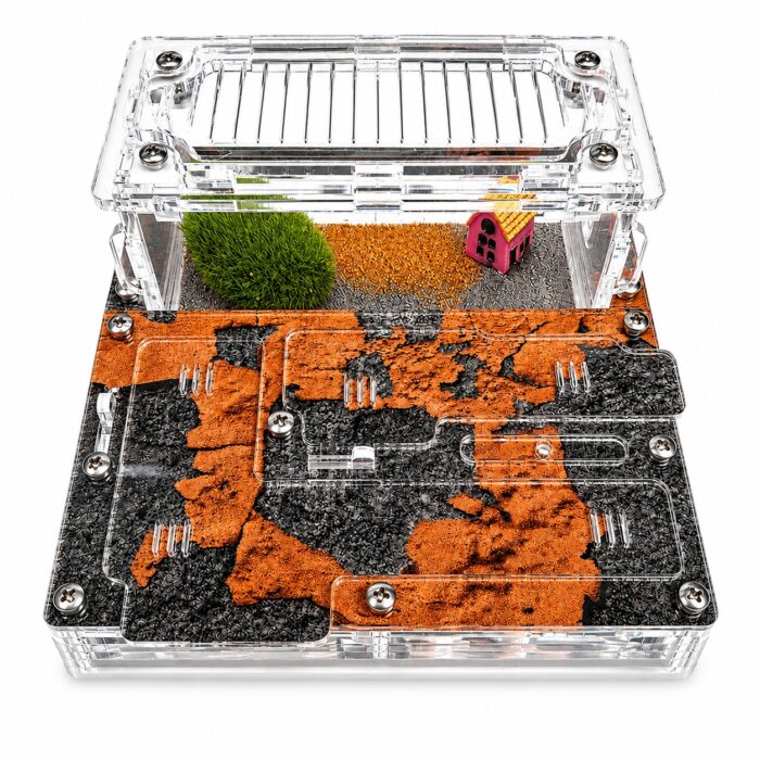 Formikarium Ziom  obrazek 5