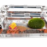 Formikarium Ziom - obrazek 6
