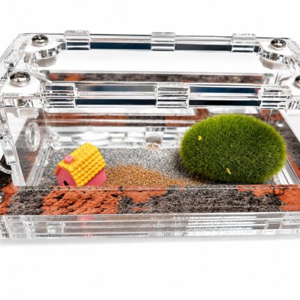 Formikarium Ziom