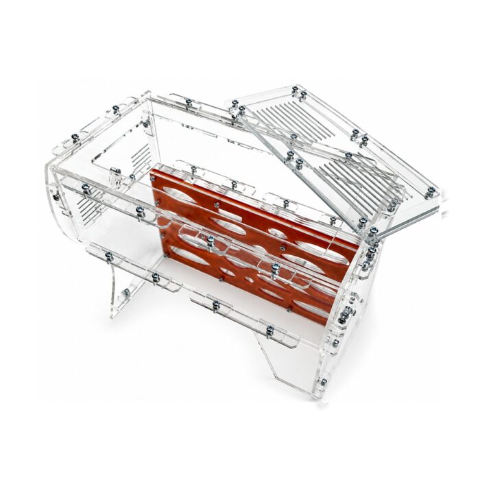 Formicarium Giant L — ant formicarium with nest and foraging arena at ANTonTOP