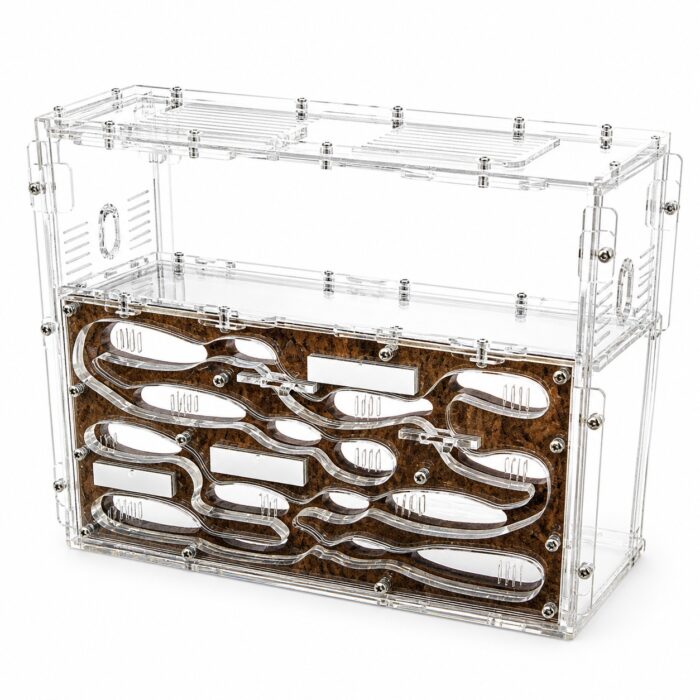 Formicarium Giant L — foraging arena detail — ANTonTOP