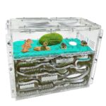 Formicarium Giant L — ant formicarium with nest and foraging arena at ANTonTOP
