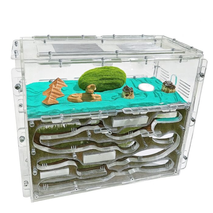 Giant (8) Formicarium Giant L — ant formicarium with nest and foraging arena at ANTonTOP
