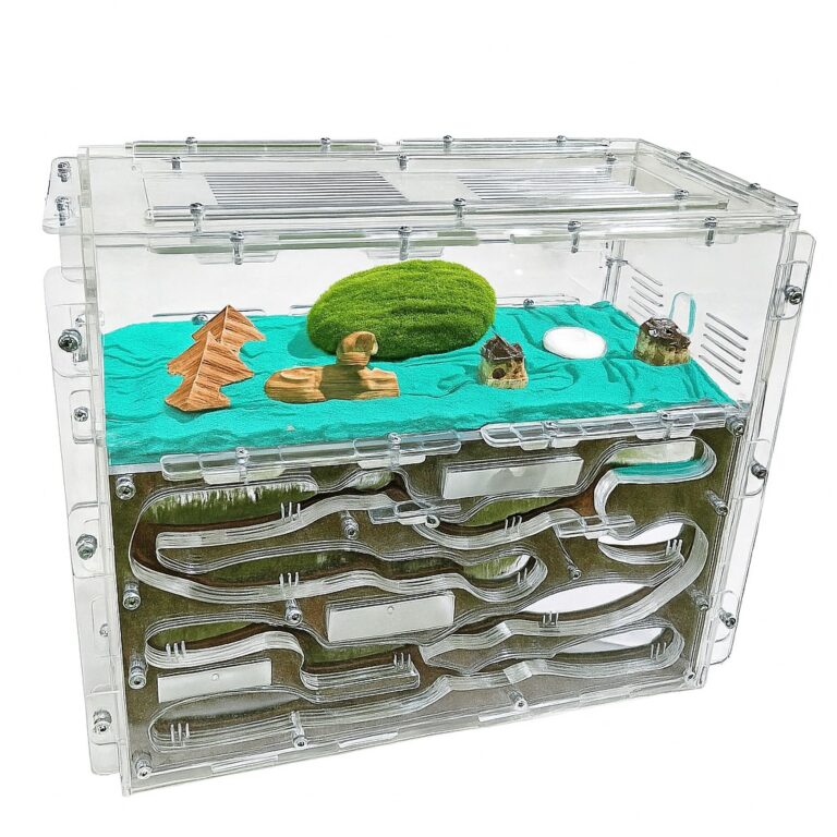 Formicarium Giant L — ant formicarium with nest and foraging arena at ANTonTOP