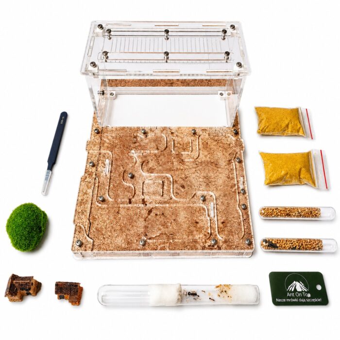 Kit Comfort — zestaw do hodowli mrówek z formikarium w ANTonTOP