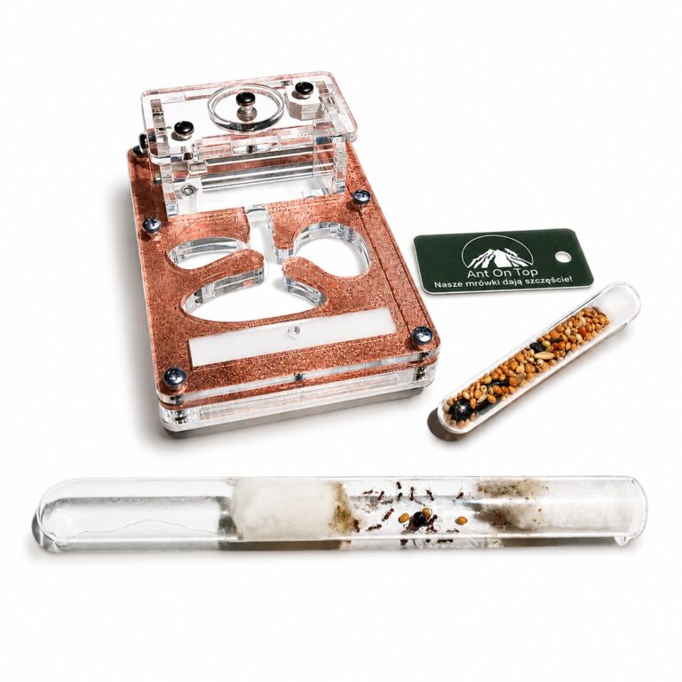 Kit Start — ant-keeping kit with formicarium for a live colony at ANTonTOP