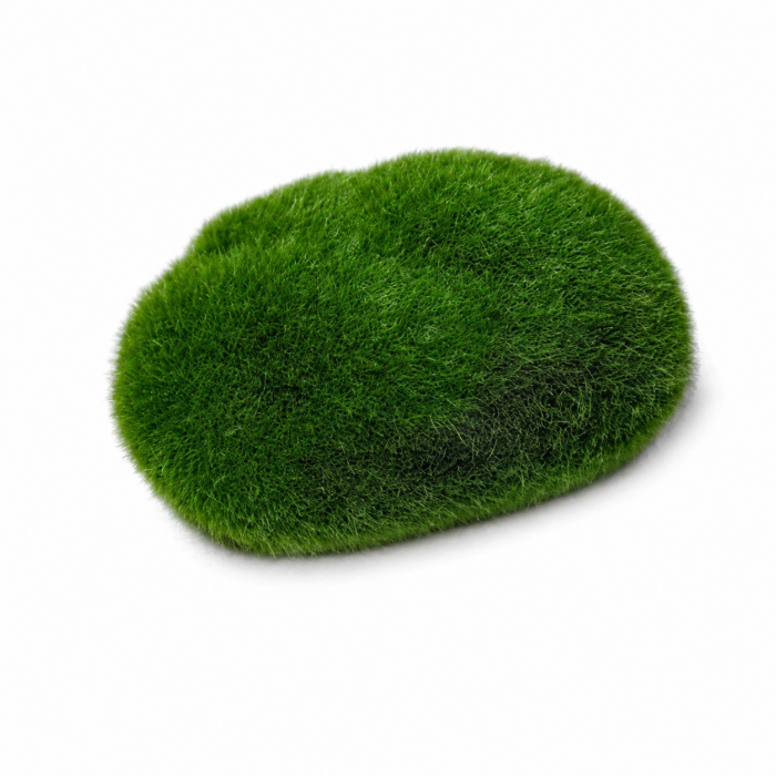 Moss Stones (L)  Image 1