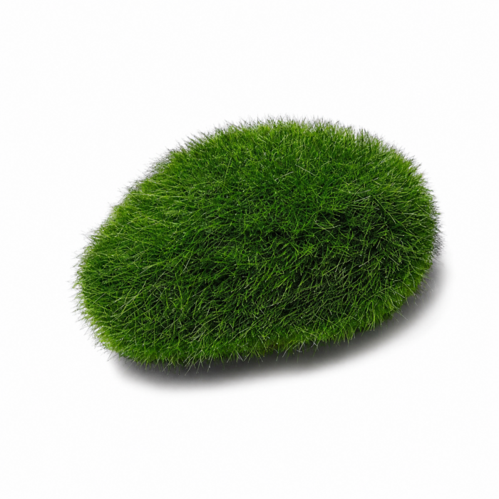 Moss Stones (L)  Image 2