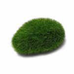 Moss Stones (L) - Image 4
