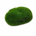 Moss Stones (L) - Image 3