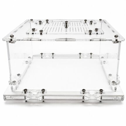 Arena 20x20 formicarium — ANTonTOP