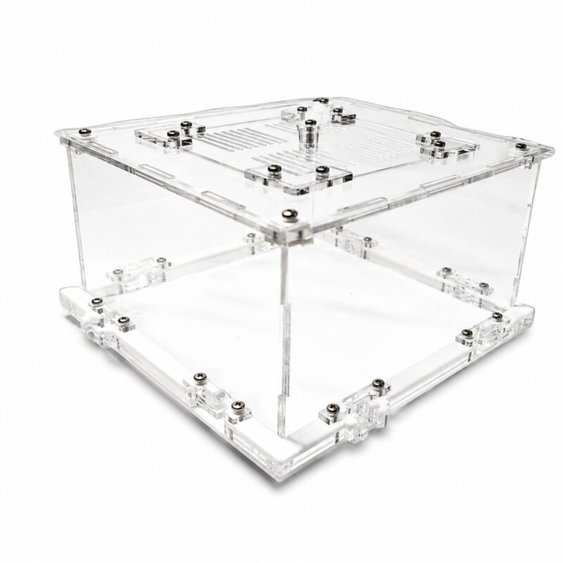 Arena 20x20 formicarium — ANTonTOP
