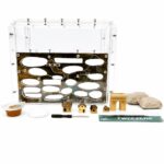 Breeding Kit 5 — what is included in the kit — ANTonTOP
