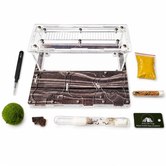 Kit Spoko — antkeeping kit with formicarium for a live colony at ANTonTOP