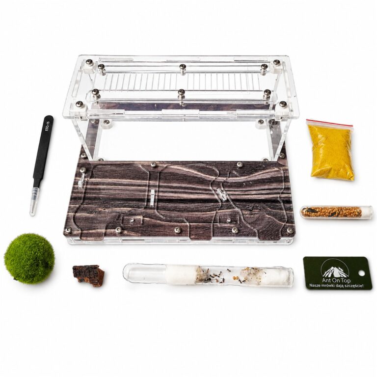 Kit Spoko — ant-keeping kit with formicarium for a live colony at ANTonTOP
