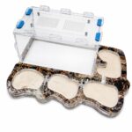 Formicarium Opal — ant formicarium with nest and foraging arena at ANTonTOP