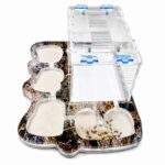 Formicarium Opal - Image 2