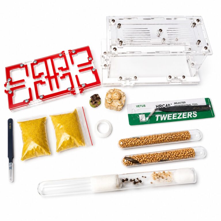 Kit Module 20×10 — ant-keeping kit with formicarium for a live colony at ANTonTOP