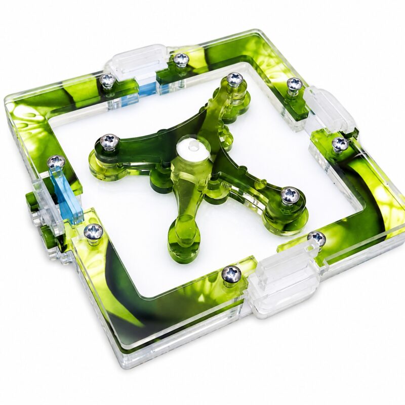 Modular Nest Nexus 10x10 cm. — ant formicarium with nest and foraging arena at ANTonTOP