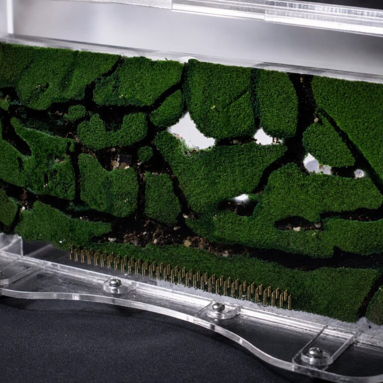 DigFix Nest Plate S — nest plate detail for building an ant formicarium — ANTonTOP
