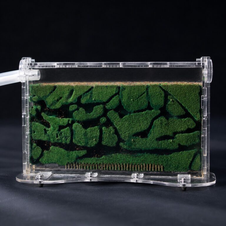 DigFix Nest Plate S — digging substrate nest plate for an ant colony at ANTonTOP