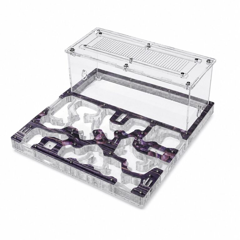 Formicarium Ideal — acrylic ant farm with nest and foraging arena at ANTonTOP
