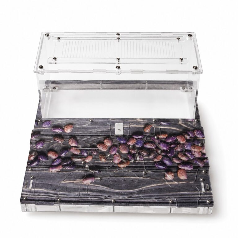 Formicarium Ideal — foraging arena detail — ANTonTOP