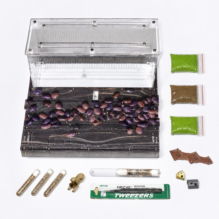 Kit Ideal — nest and arena included in the antkeeping kit — ANTonTOP