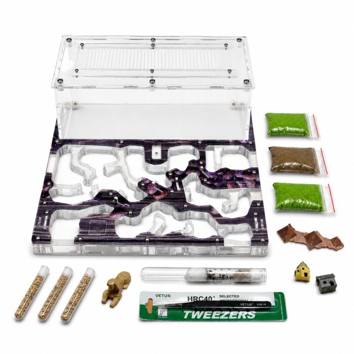 Kit Ideal — what is in the box of the antkeeping kit — ANTonTOP