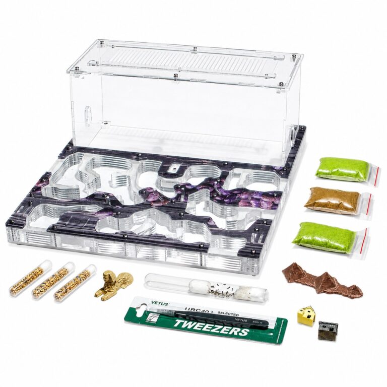Kit Ideal — complete ant-keeping kit with formicarium and accessories at ANTonTOP