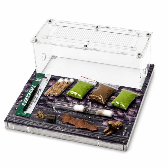 Kit Ideal — formicarium and starter equipment for a live ant colony — ANTonTOP